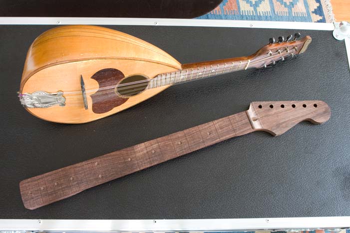 mandolino e manico in palissandro